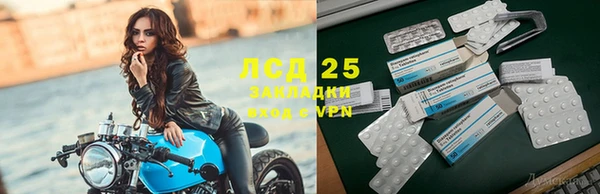 трава Богородицк