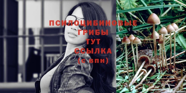 трава Богородицк