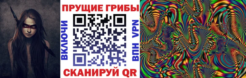Галлюциногенные грибы мухоморы  Купить где  Рассказово 