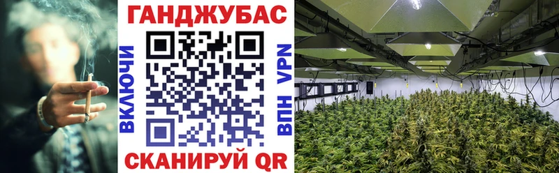 Купить  Рассказово  Каннабис OG Kush 